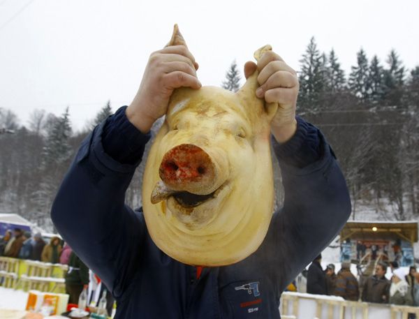 Funny picdump (146 pics)