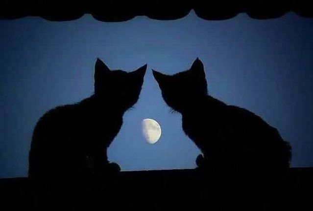 Funny picdump (146 pics)