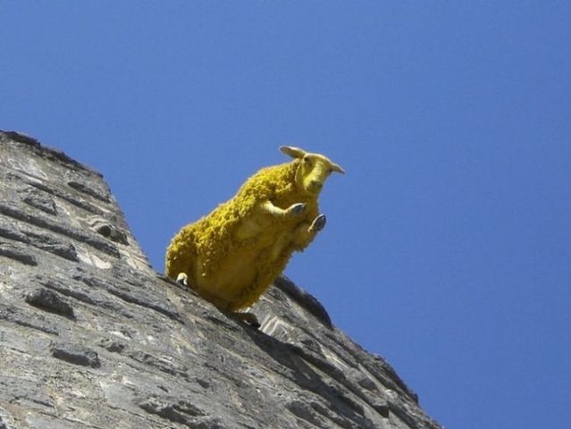 Funny picdump (146 pics)