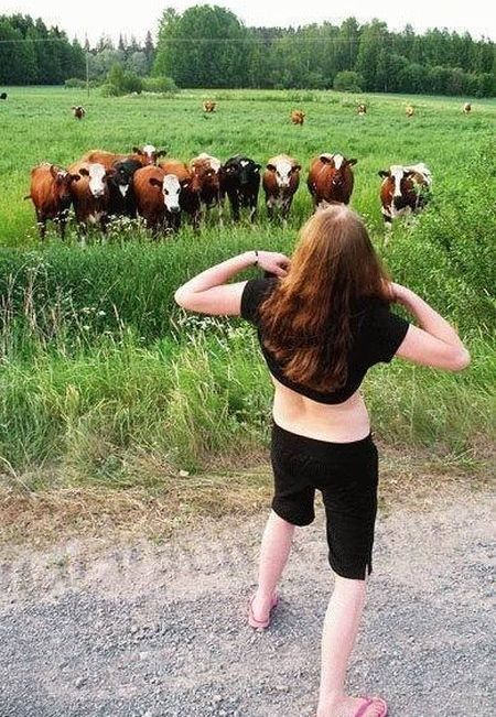 Girls are having fun (50 pics)