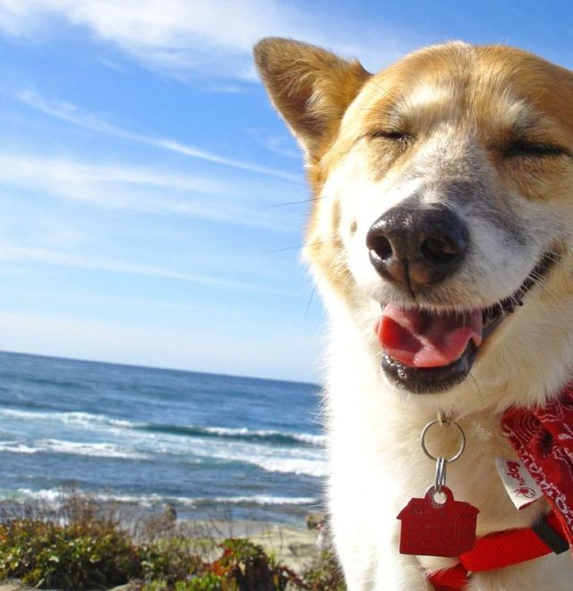 Funny picdump (85 pics)