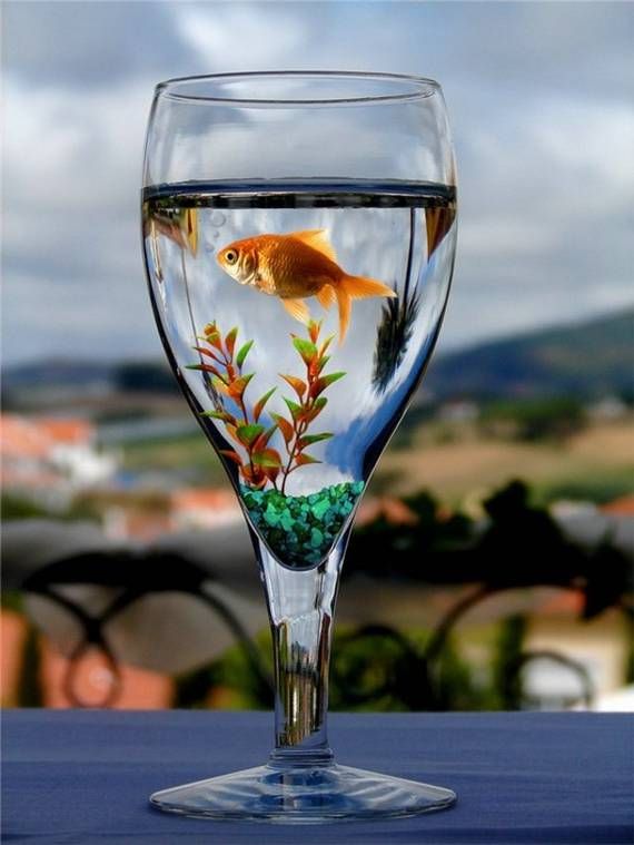 Funny picdump (85 pics)