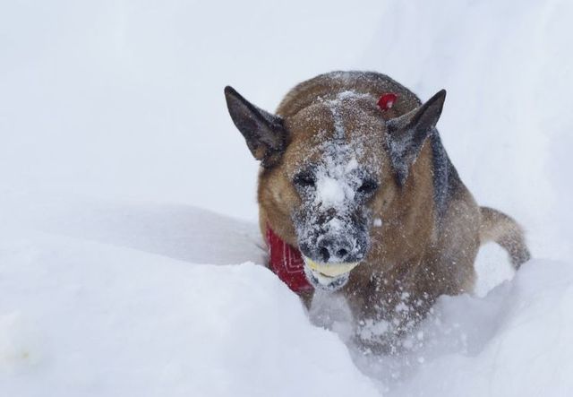 Funny picdump (85 pics)