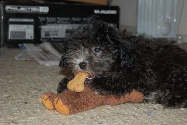 Funny picdump (115 pics)