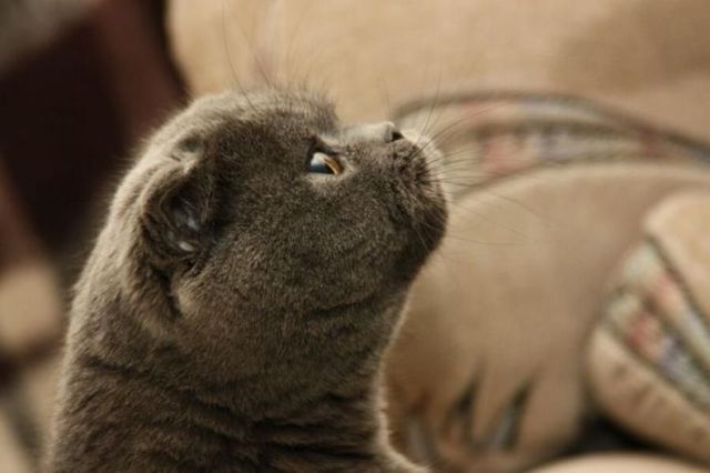 Funny picdump (115 pics)