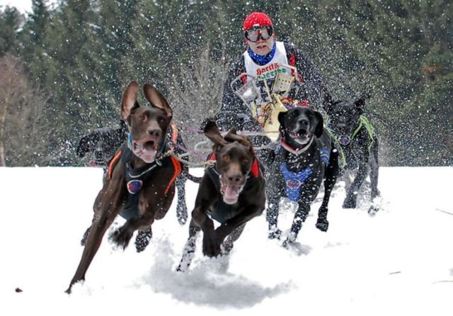 Funny picdump (115 pics)