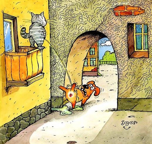 Funny picdump (115 pics)