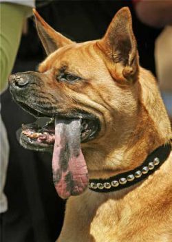 Curiosities and bonus pictures