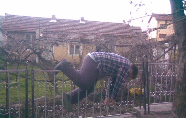 Daily picdump (89 pics)