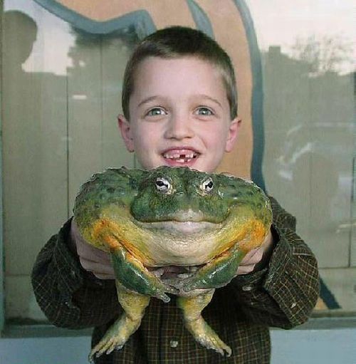 Why boys need parents