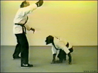 Collection of funny gif animations (53 gifs)