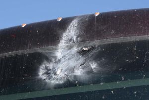 Curiosities and bonus pictures