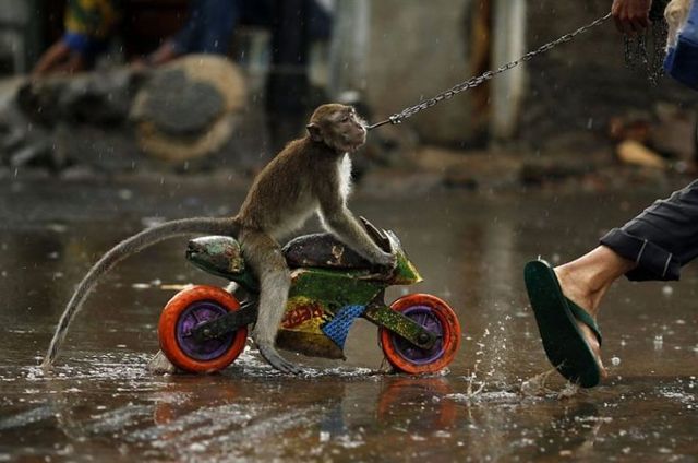 Daily picdump (107 pics)