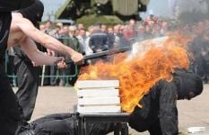 Curiosities and bonus pictures