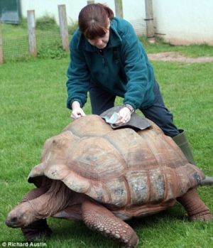 Curiosities and bonus pictures