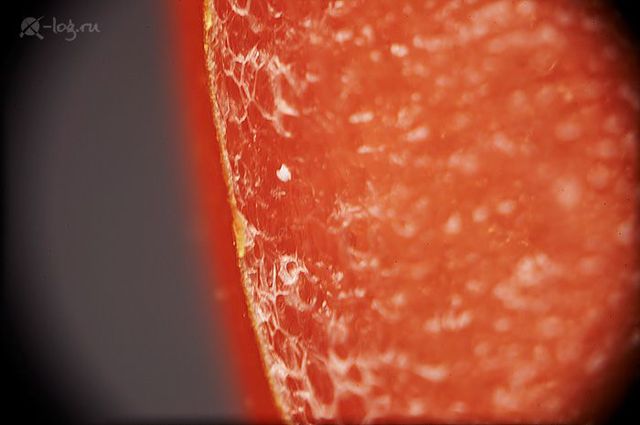 Close-up photography of vegetables, fruits and some objects (18 pics)