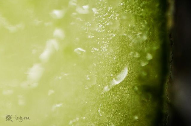 Close-up photography of vegetables, fruits and some objects (18 pics)