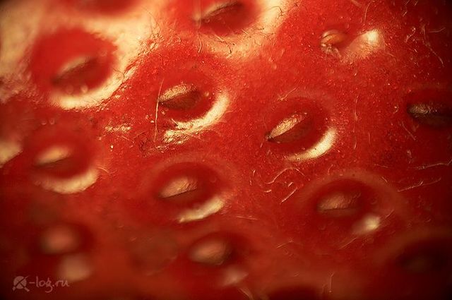 Close-up photography of vegetables, fruits and some objects (18 pics)