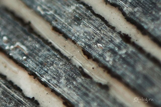 Close-up photography of vegetables, fruits and some objects (18 pics)