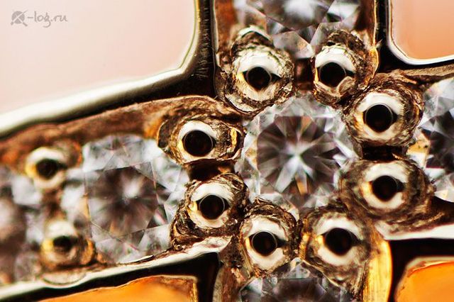 Close-up photography of vegetables, fruits and some objects (18 pics)