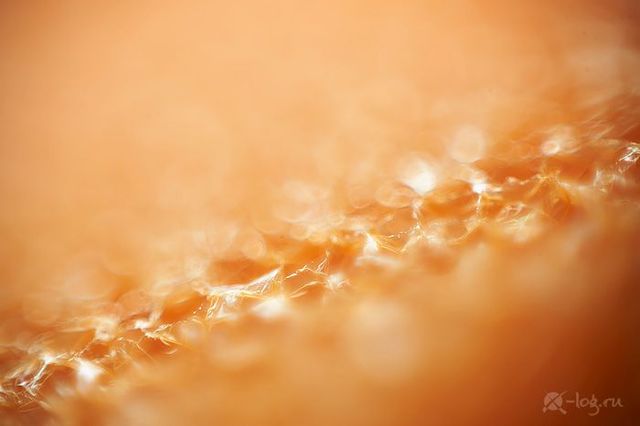 Close-up photography of vegetables, fruits and some objects (18 pics)