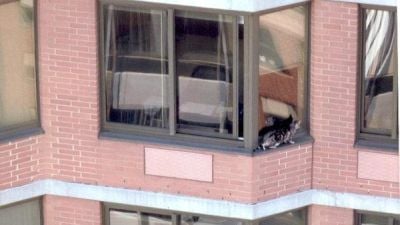 Curiosities and bonus pictures