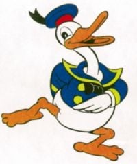 Curiosities and bonus pictures