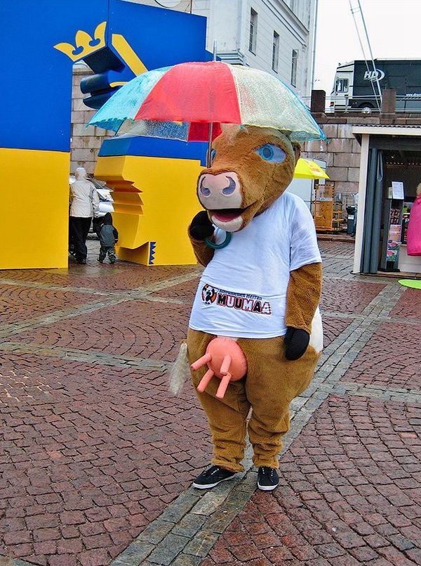 Daily picdump (127 pics)