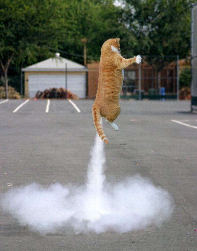 Daily picdump (126 pics)