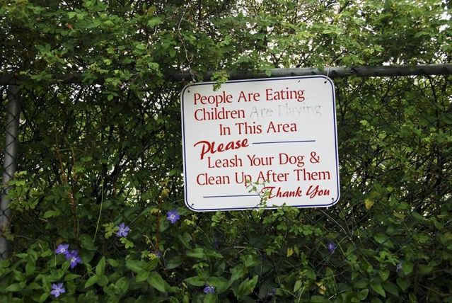 Daily picdump (126 pics)