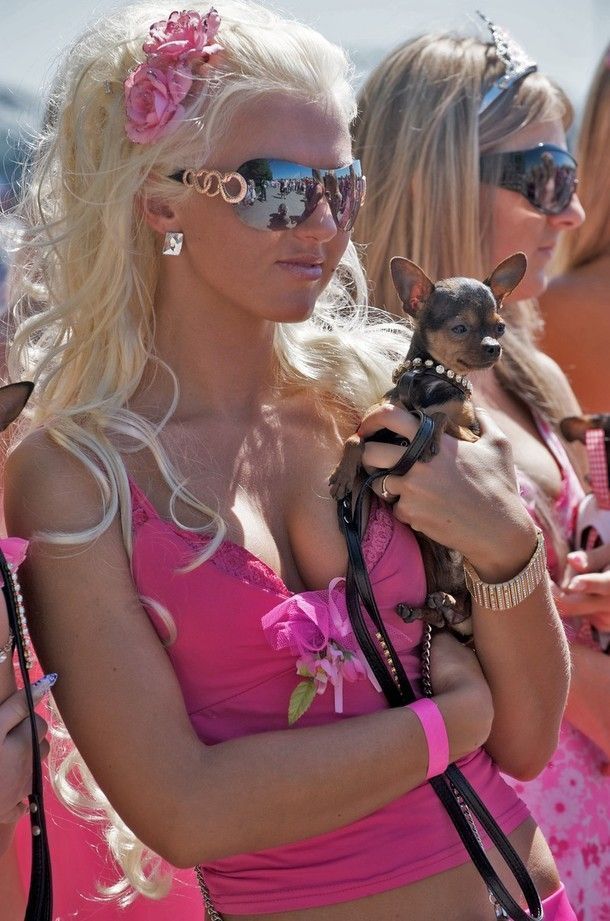 Pictures sent by users (40 pics)