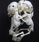 Curiosities and bonus pictures