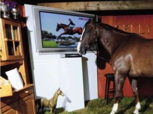 Curiosities and bonus pictures