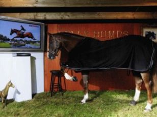 Curiosities and bonus pictures