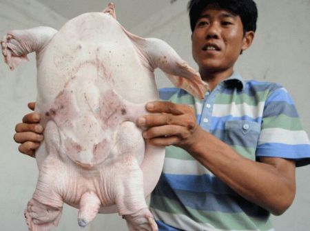 Curiosities and bonus pictures