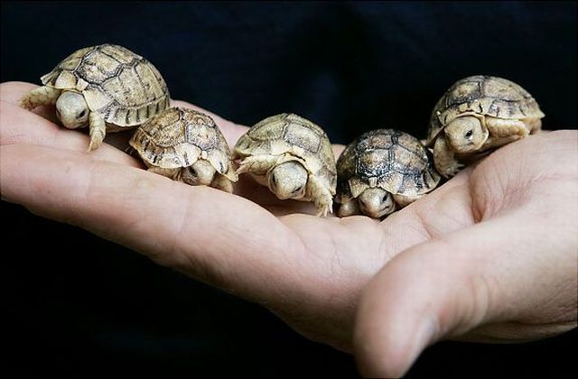 Daily picdump (106 pics)