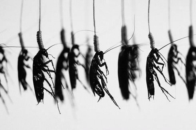 Daily picdump (106 pics)