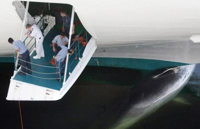 Curiosities and bonus pictures