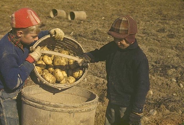 Life in the USA in the first half on the 20th century (61 pics)