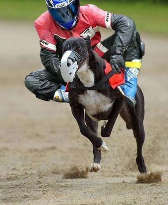 Daily picdump (127 pics)