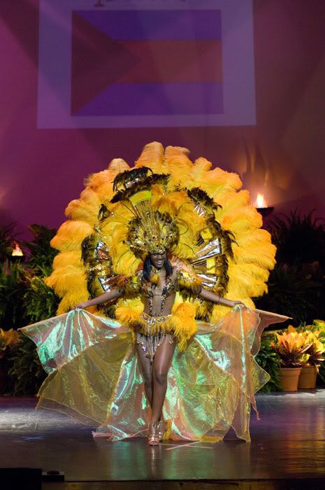 National costumes at Miss Universe 2009 (50 pics)