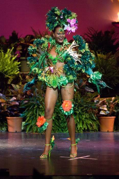 National costumes at Miss Universe 2009 (50 pics)