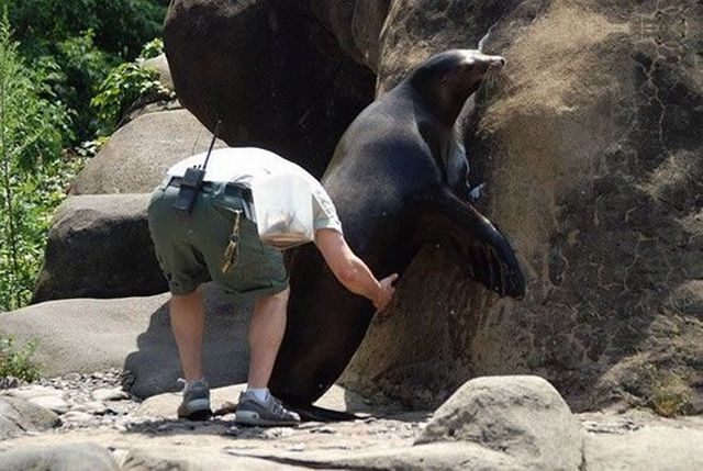 Daily picdump (153 pics)