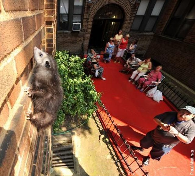Daily picdump (153 pics)