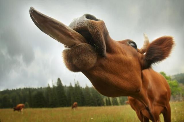 Daily picdump (153 pics)