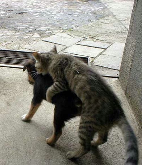 Daily picdump (153 pics)