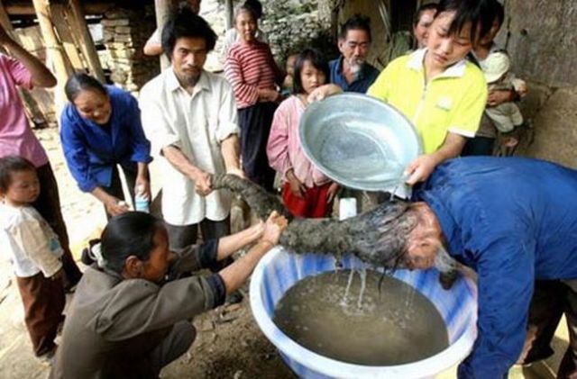 Only in Asia (145 pics)
