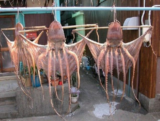 Only in Asia (145 pics)