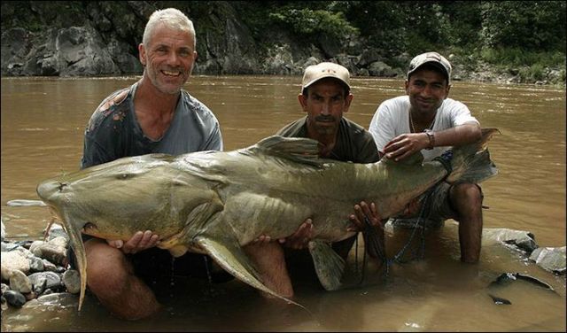 Only in Asia (145 pics)