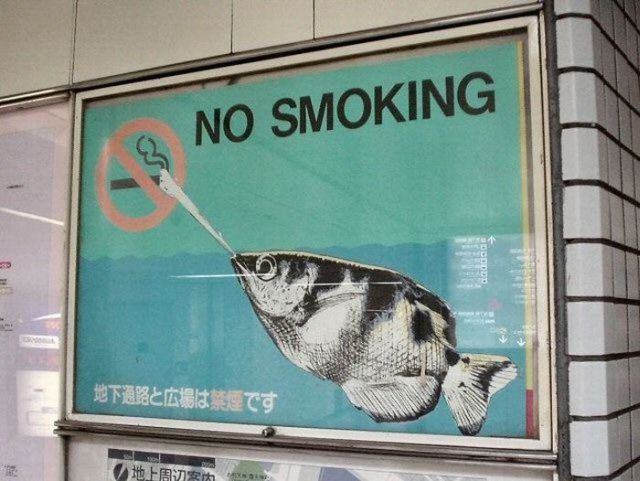 Only in Asia (145 pics)